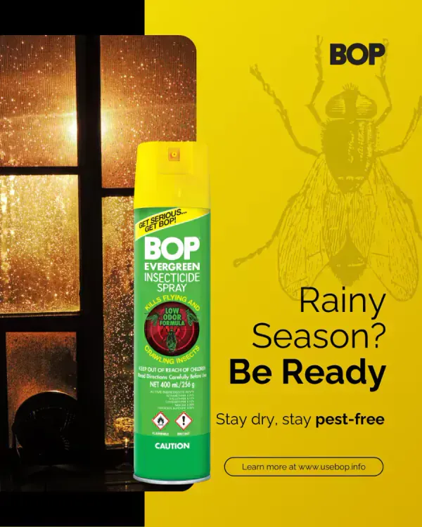 An insecticide spray can against a yellow background with a rainy window